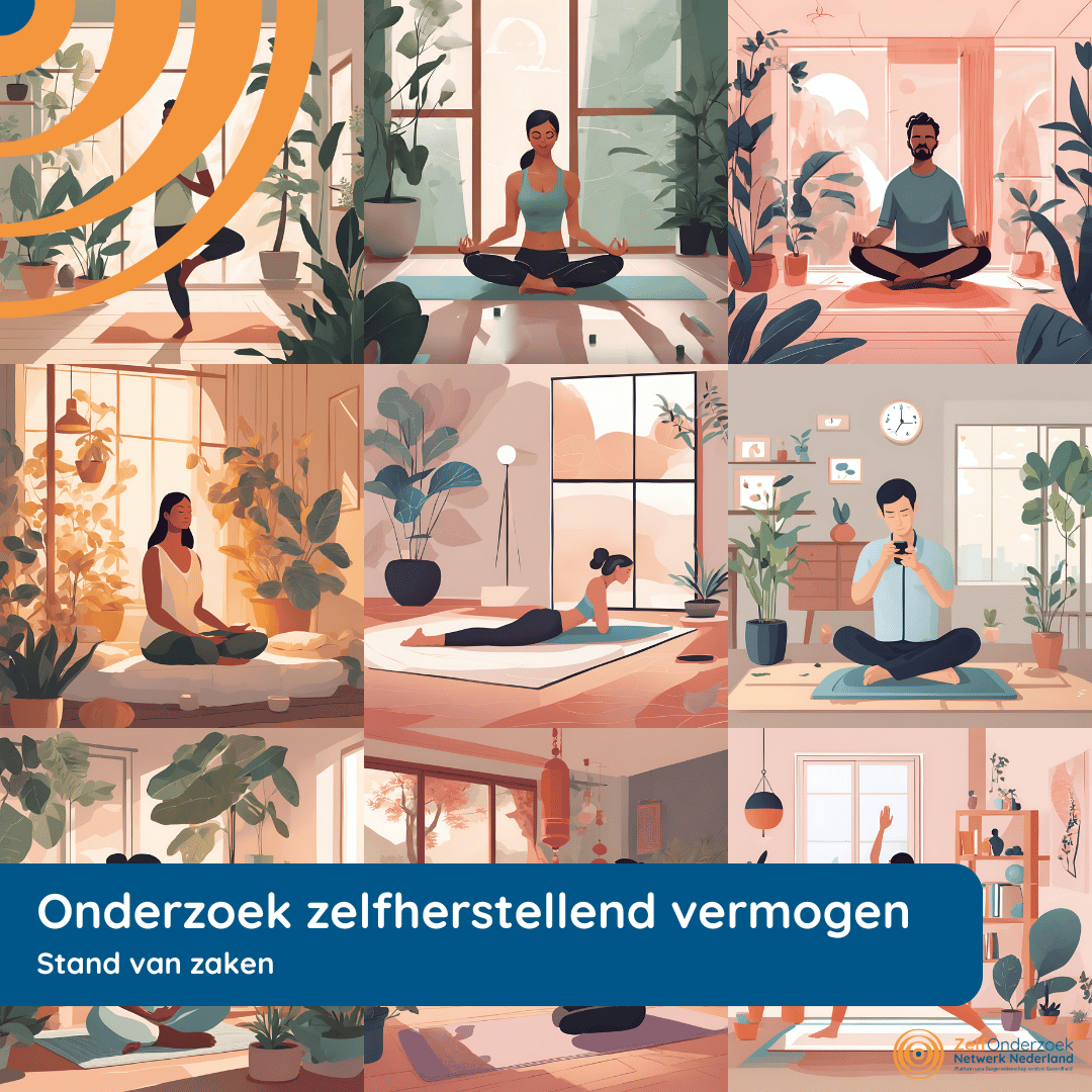 Burgeronderzoek naar je zelfherstellend vermogen – Een update Burgeronderzoek naar je zelfherstellend vermogen - Een update